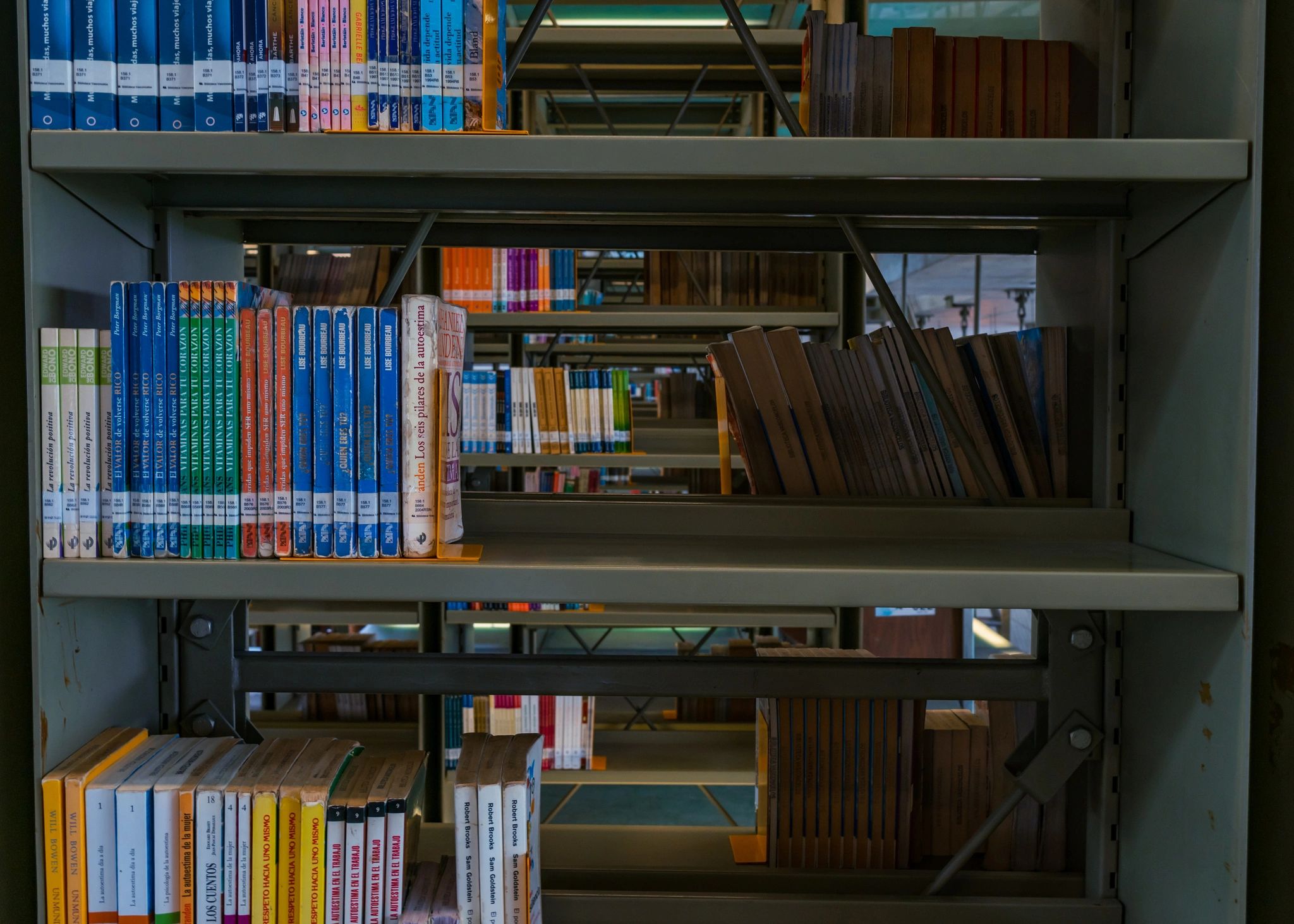 Shelves of books inspiring mystery writing and research