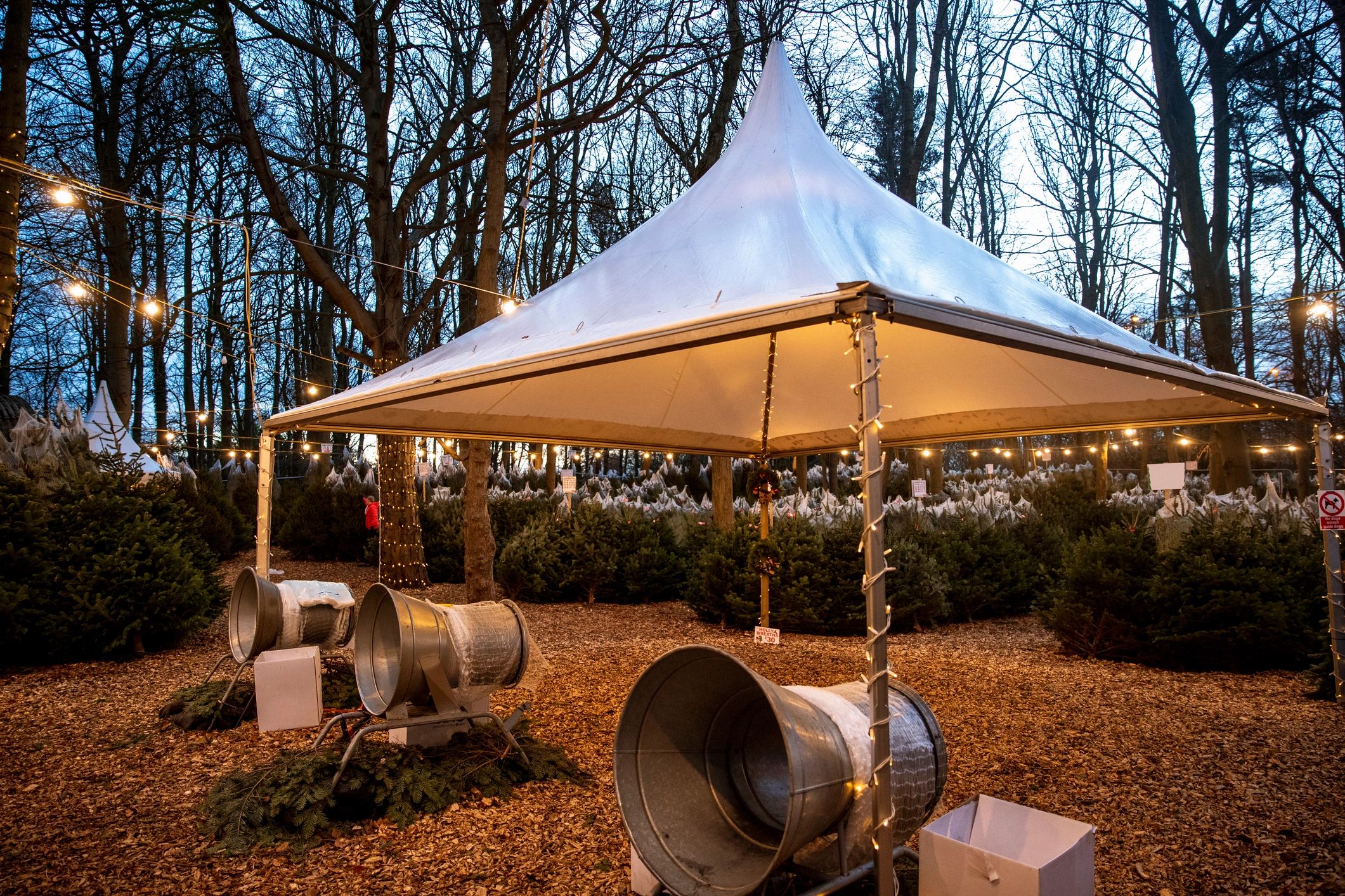 Snowy holiday setting with festive lights