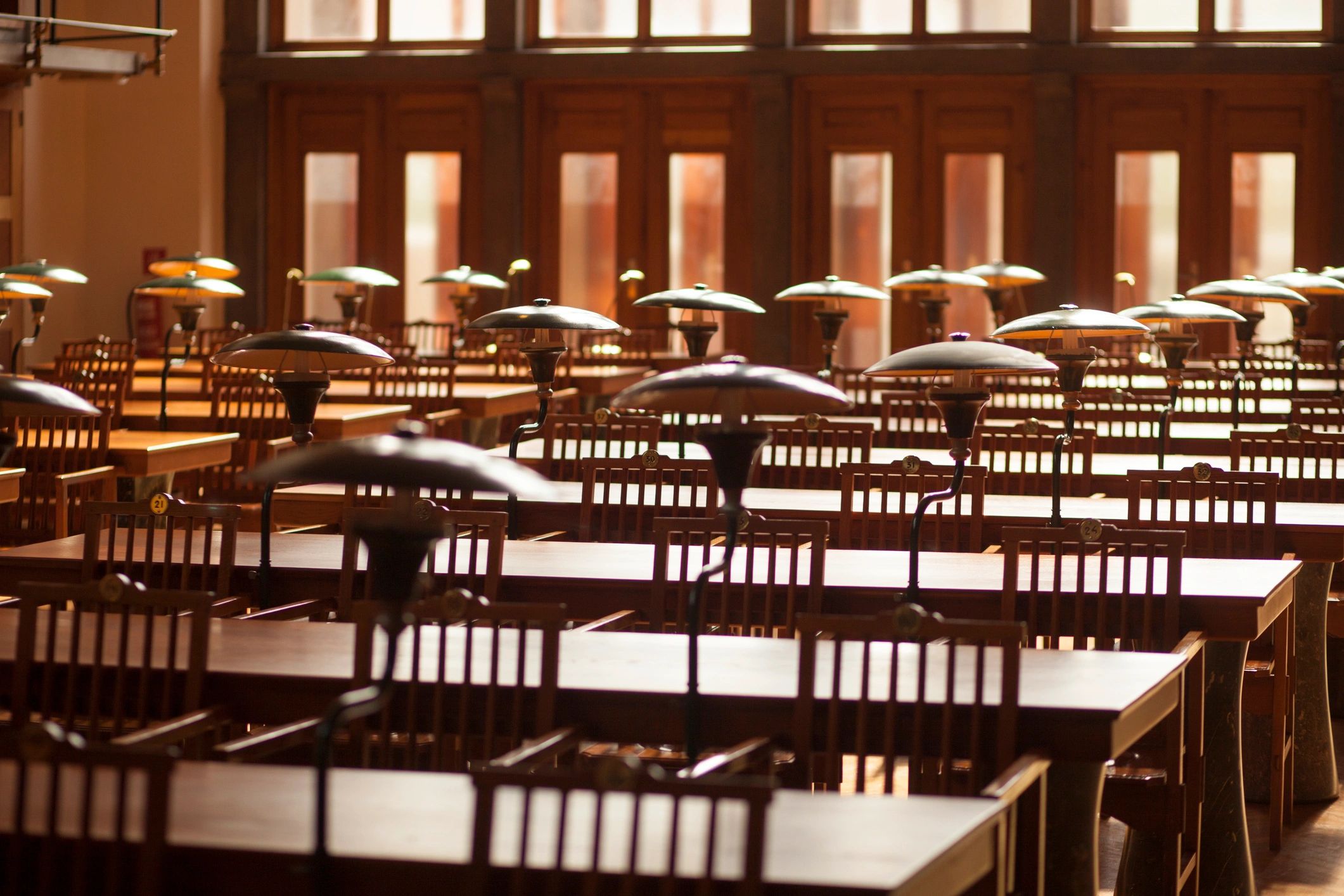 Quiet library interior evoking a cozy mystery setting