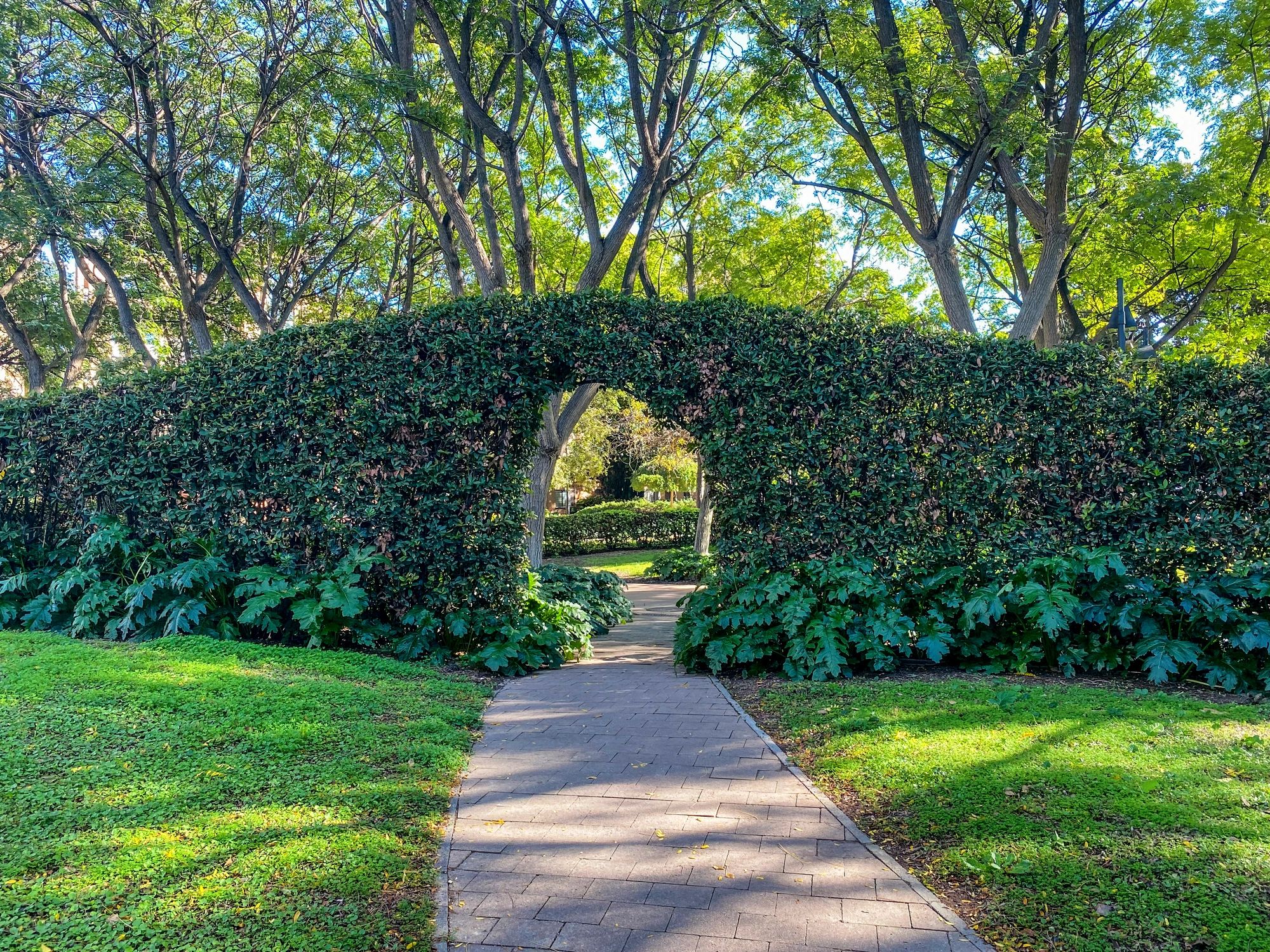 Garden walkway leading through an archway in a lush park